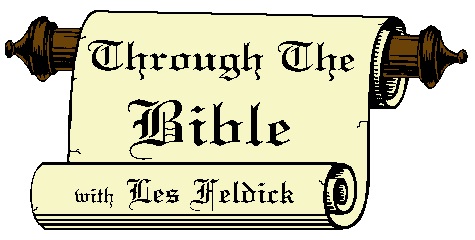 lesfeldick.org